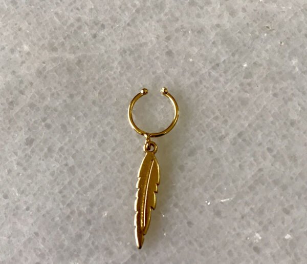 Pluma larga