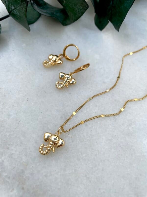 Set dumbo