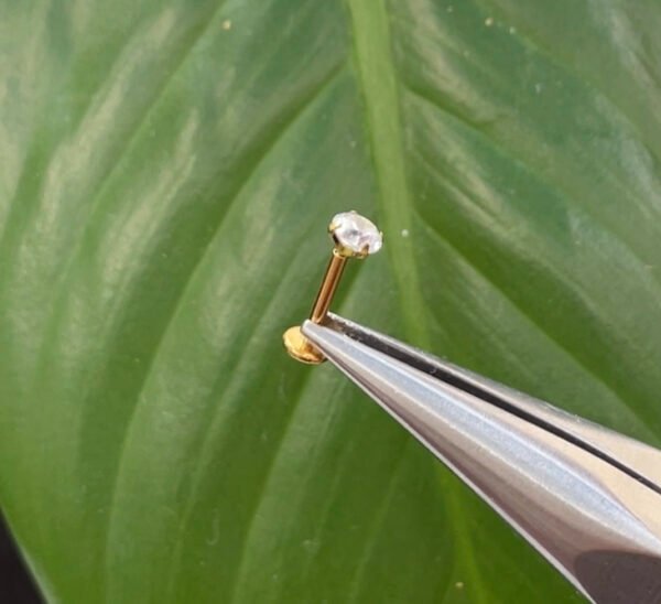 Labret zirconia Dorado - Image 2