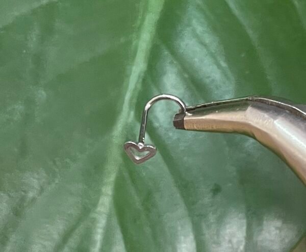 Nostril Corazón