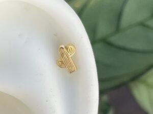 Cactus de oro