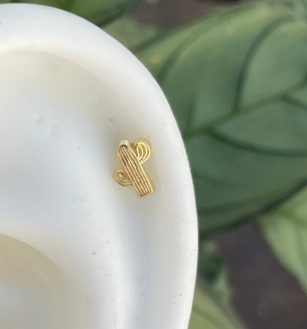 Cactus de oro