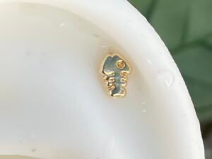 Pez De Oro