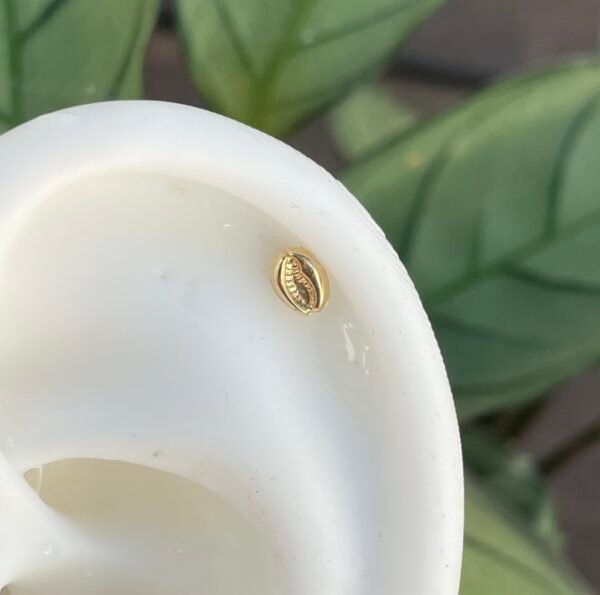 Concha De oro