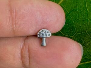 Fungi dor plata