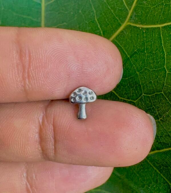 Fungi dor plata