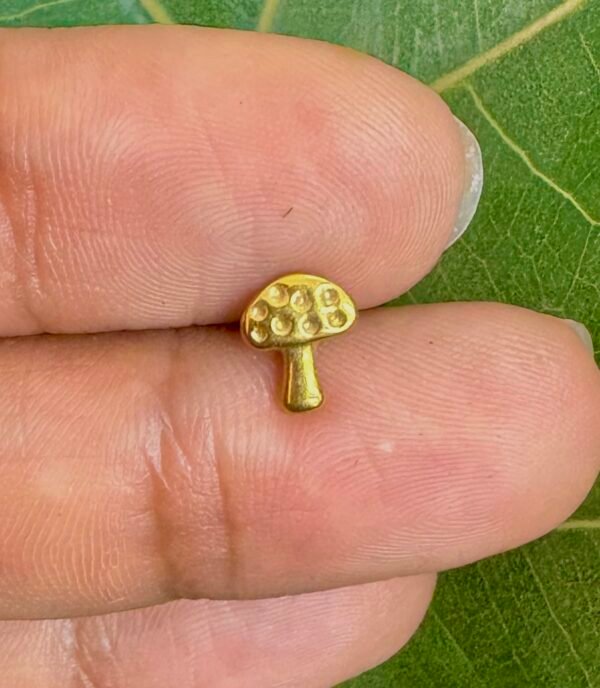 Fungi dor